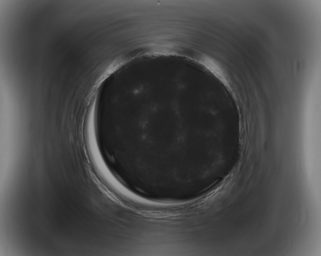 X0000086090389200703301155