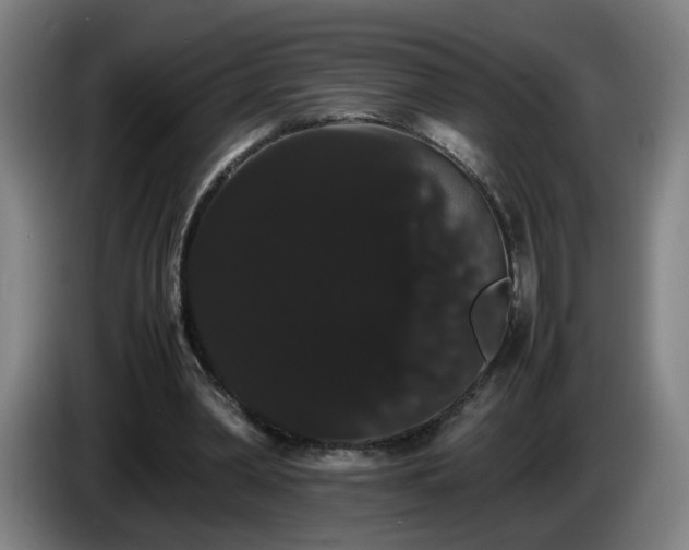 X0000086090390200703301155