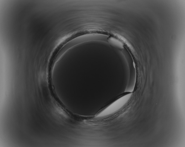 X0000086090391200703301155