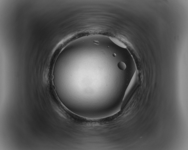 X0000086090392200703301155