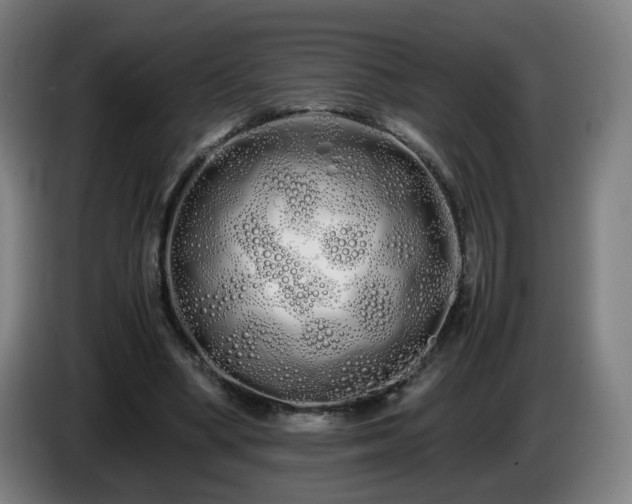 X0000086090394200703301155