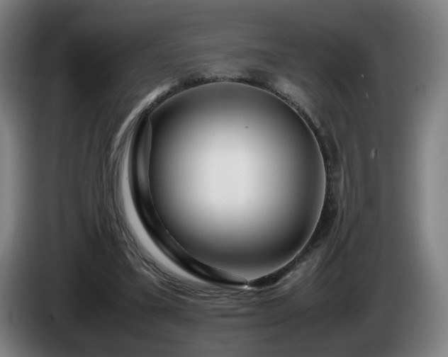 X0000086090395200703301155