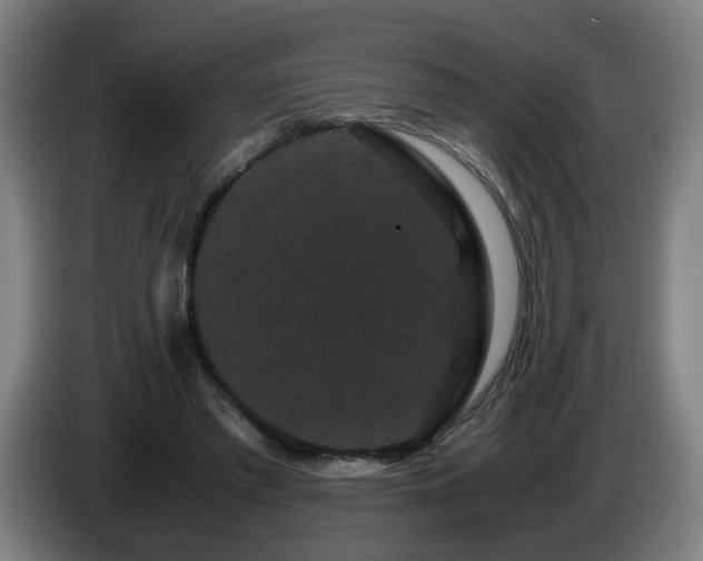 X0000086090397200703301155