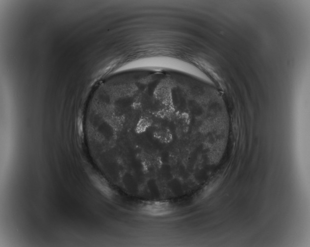 X0000086090398200703301155