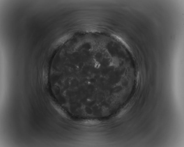 X0000086090402200703301155