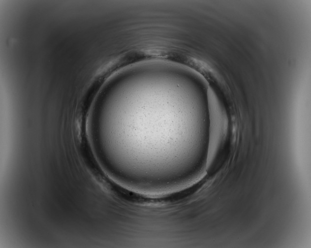 X0000086090404200703301155