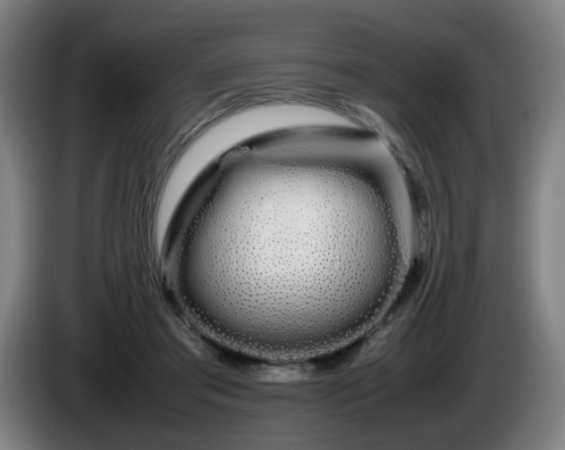 X0000086090405200703301155