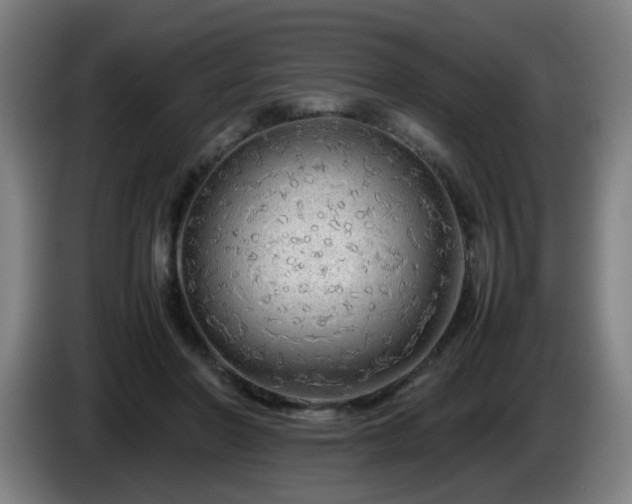 X0000086090406200703301155