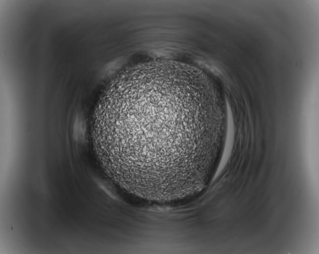 X0000086090408200703301155