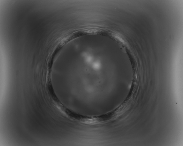 X0000086090411200703301155