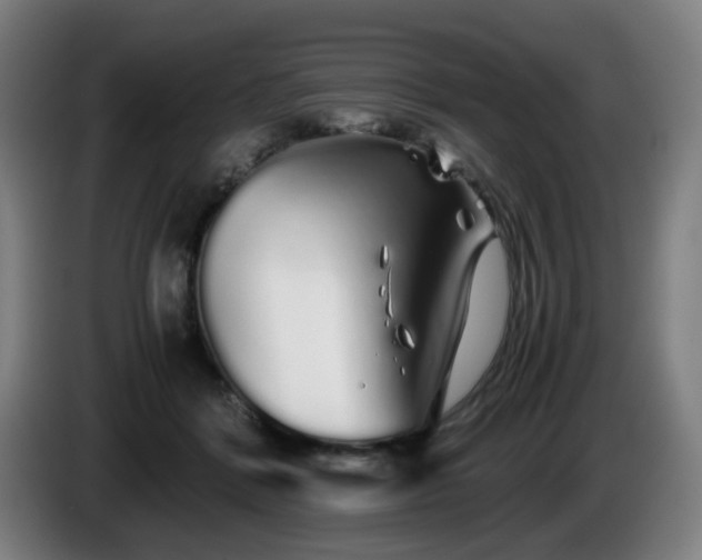 X0000086090412200703301155