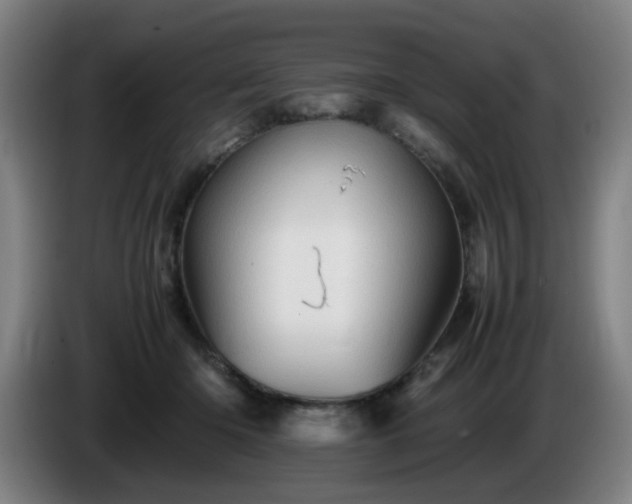 X0000086090414200703301155