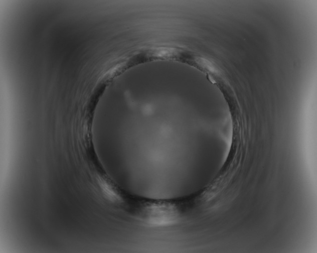 X0000086090415200703301155