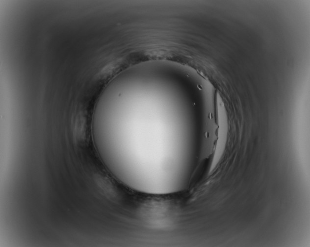 X0000086090416200703301155