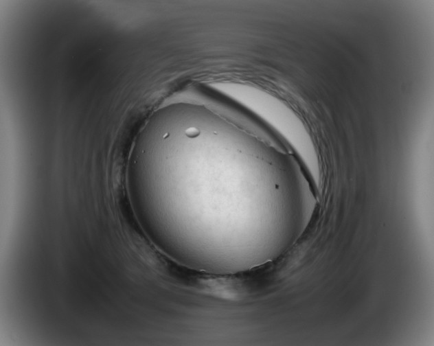 X0000086090417200703301155