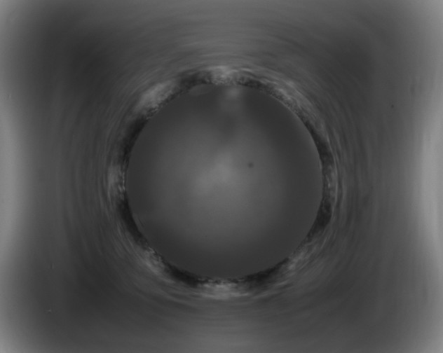 X0000086090419200703301155