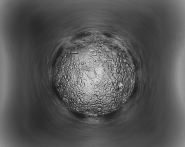 X0000086090423200703301155