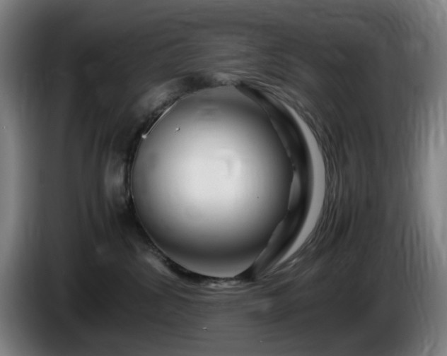 X0000086090428200703301155