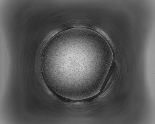 X0000086090433200703301154