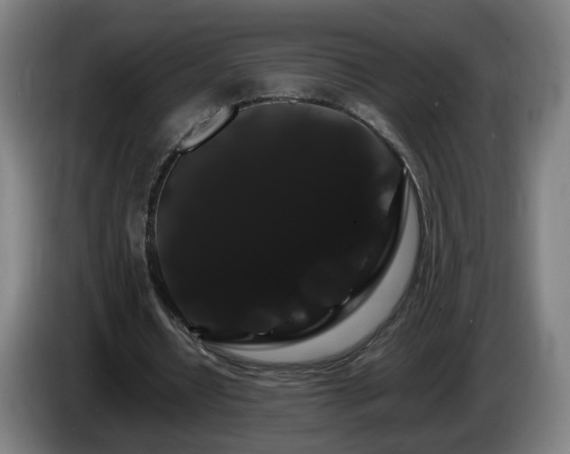 X0000086090434200703301154