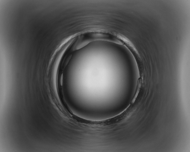 X0000086090436200703301154