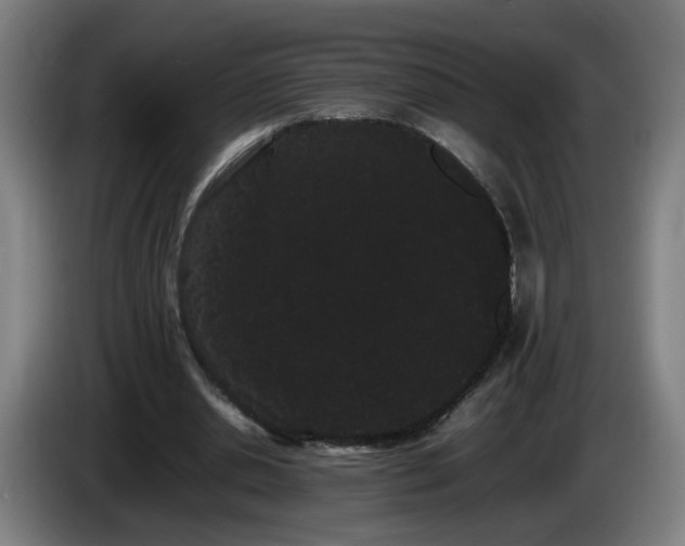 X0000086090438200703301154