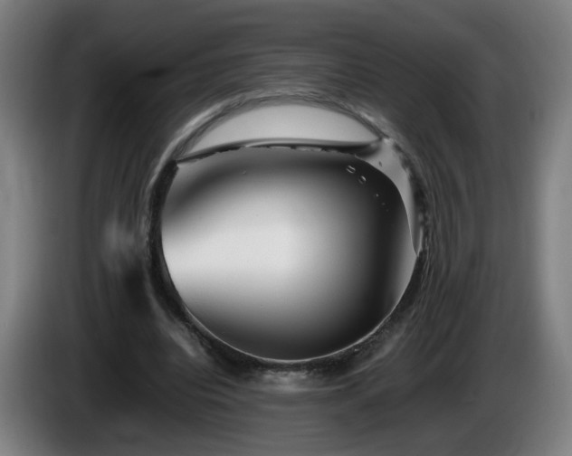 X0000086090440200703301154