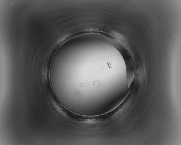 X0000086090441200703301154