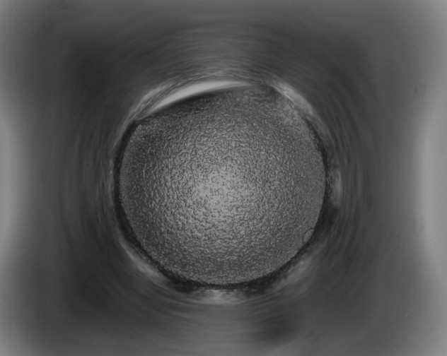 X0000086090442200703301154