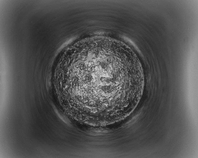 X0000086090443200703301154