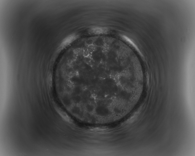 X0000086090447200703301154