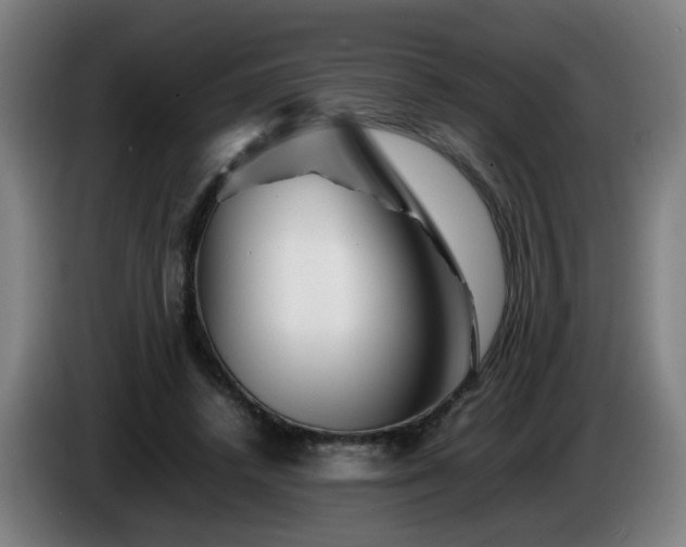 X0000086090448200703301154