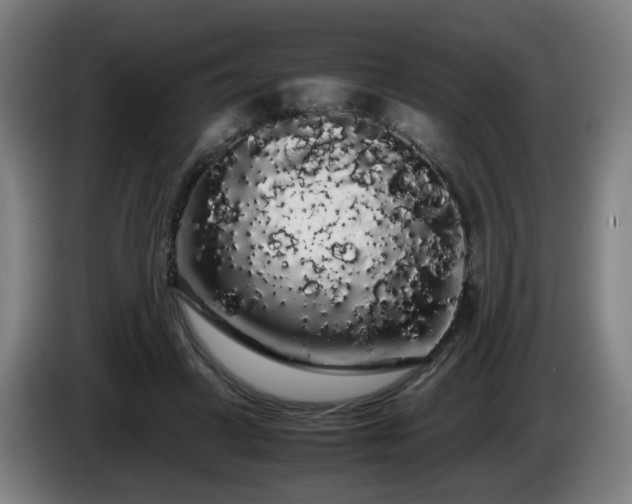 X0000086090449200703301154