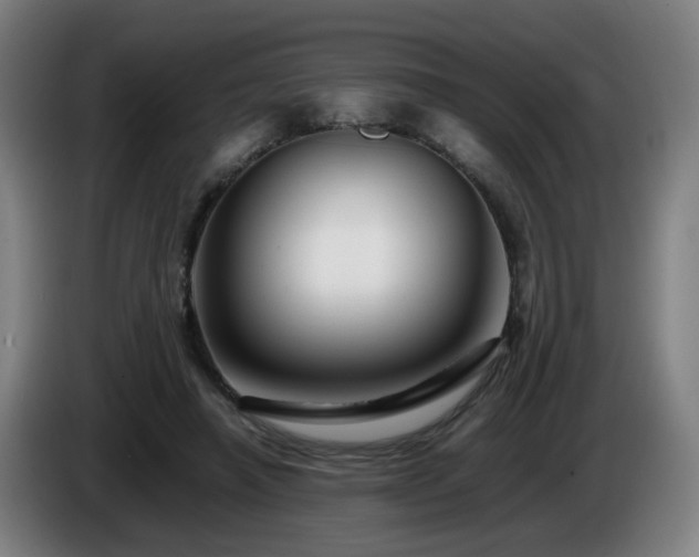 X0000086090450200703301154