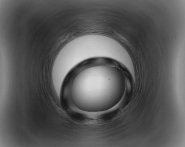 X0000086090452200703301154