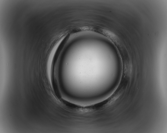 X0000086090453200703301154