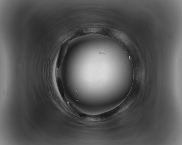 X0000086090455200703301154