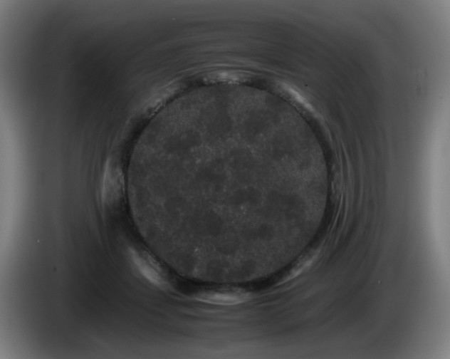 X0000086090459200703301154