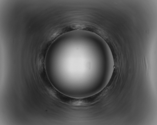 X0000086090460200703301154