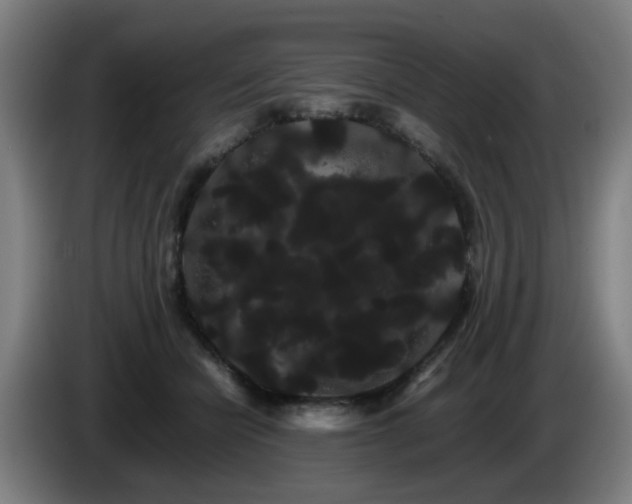 X0000086090462200703301155