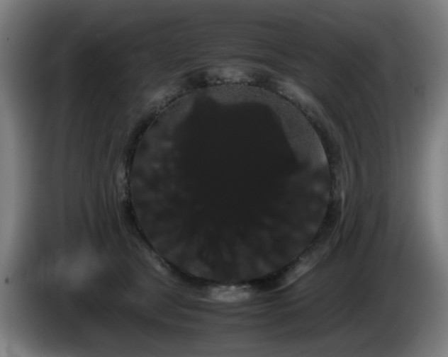 X0000086090465200703301155