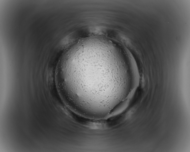 X0000086090466200703301155