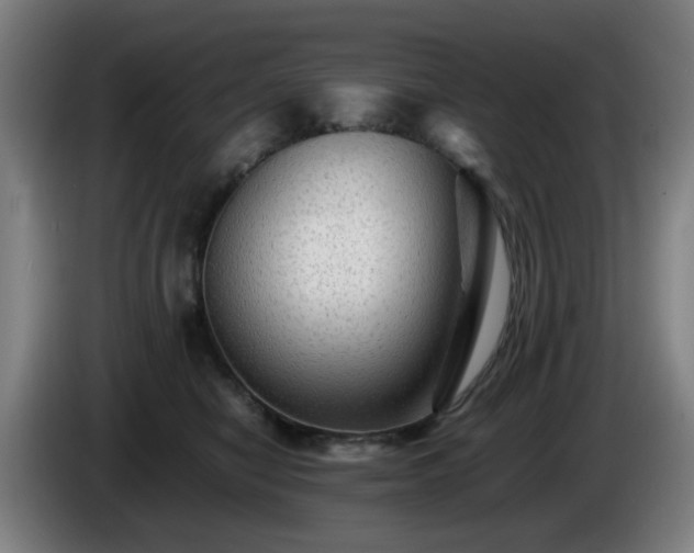 X0000086090470200703301155