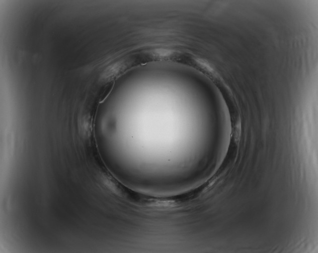 X0000086090476200703301155