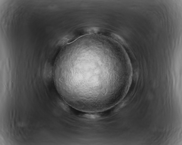 X0000086090477200703301155