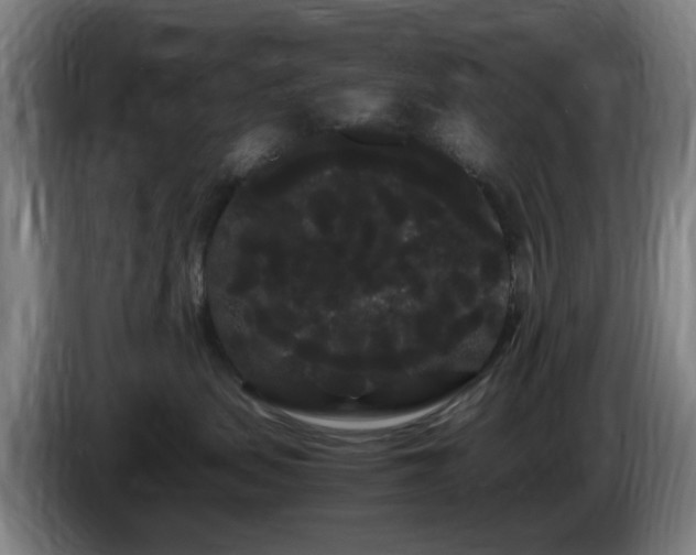 X0000086090479200703301155