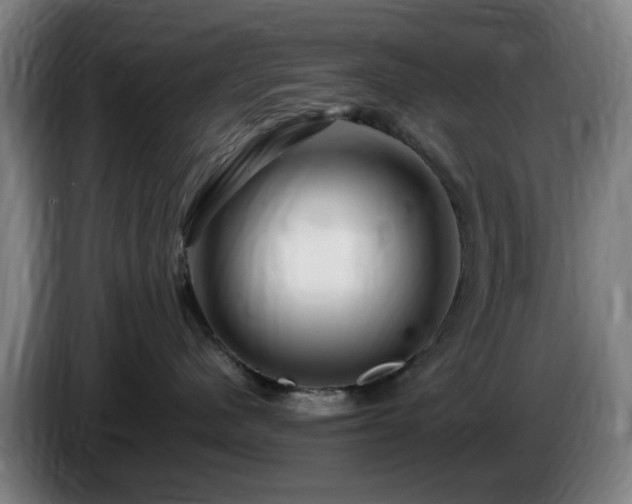 X0000086090480200703301155