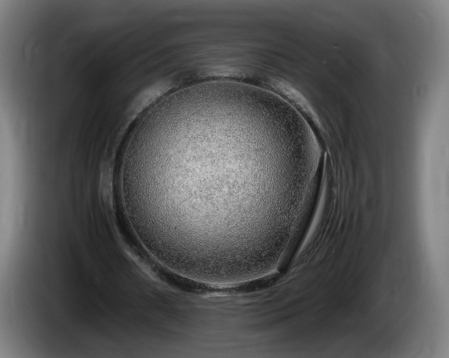 X0000086090482200703301154