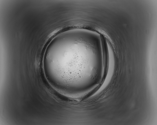 X0000086090483200703301154