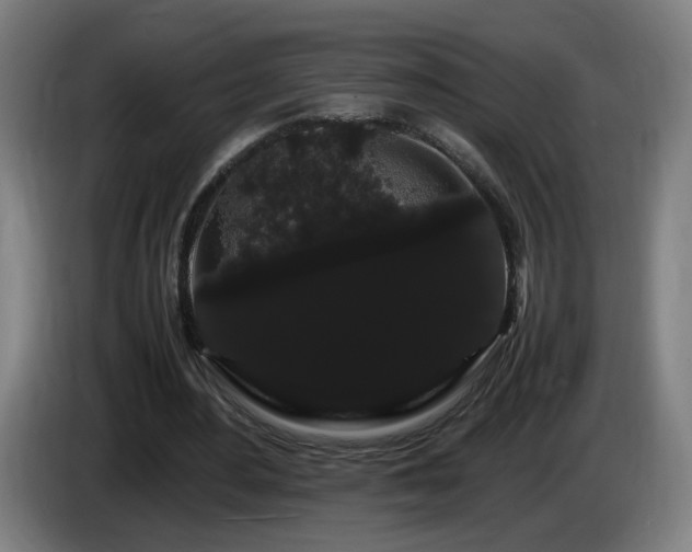 X0000086090484200703301154